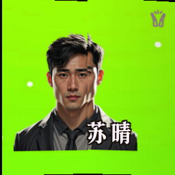 苏晴